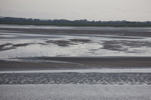 Le Crotoy (Baie de Somme, France)