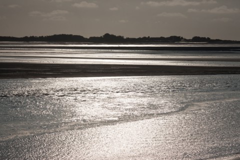 Le Crotoy (Baie de Somme, France)