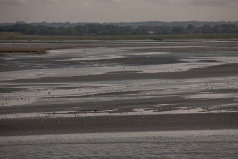 Le Crotoy (Baie de Somme, France)