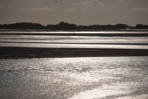 Le Crotoy (Baie de Somme, France)