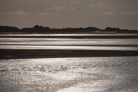 Le Crotoy (Baie de Somme, France)