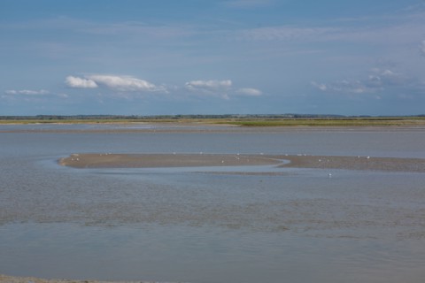 Le Crotoy (Baie de Somme, France)