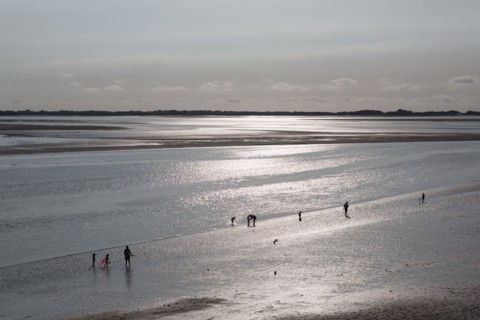 Le Crotoy (Baie de Somme, France)