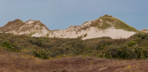 Quend (Baie de Somme, France), site de Belle Dune