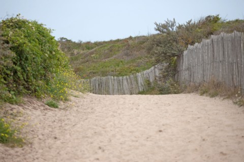 Quend (Baie de Somme, France), site de Belle Dune