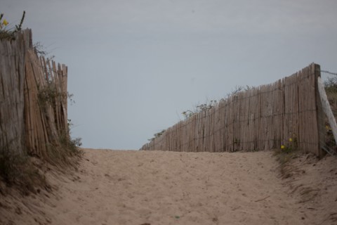 Quend (Baie de Somme, France), site de Belle Dune