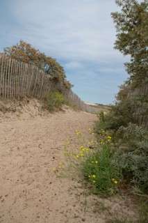 Quend (Baie de Somme, France), site de Belle Dune