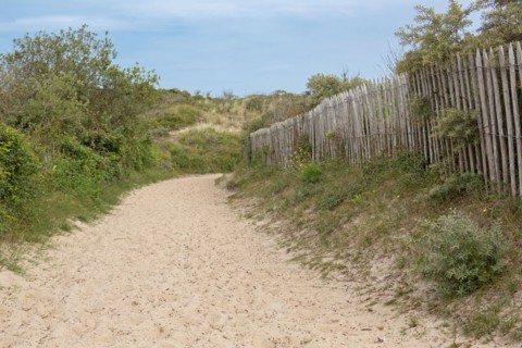 Quend (Baie de Somme, France), site de Belle Dune