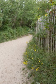 Quend (Baie de Somme, France), site de Belle Dune
