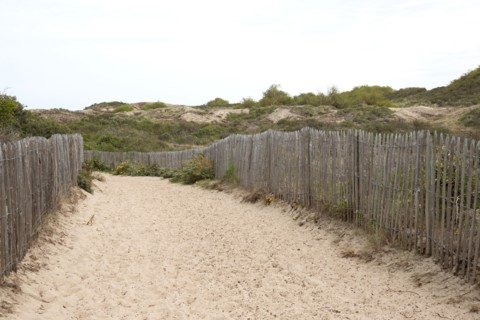 Quend (Baie de Somme, France), site de Belle Dune