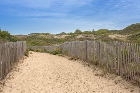 Quend (Baie de Somme, France), site de Belle Dune