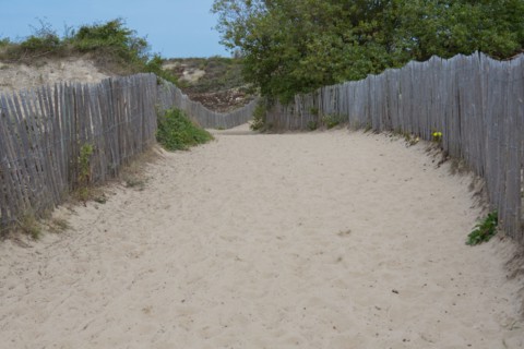 Quend (Baie de Somme, France), site de Belle Dune