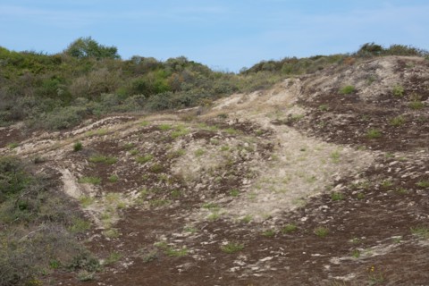 Quend (Baie de Somme, France), site de Belle Dune