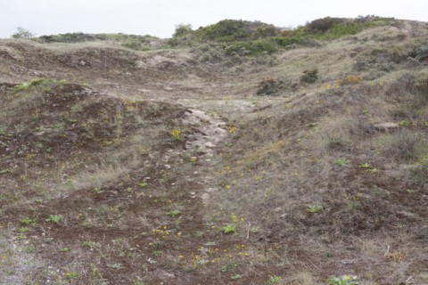 Quend (Baie de Somme, France), site de Belle Dune