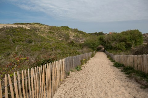 Quend (Baie de Somme, France), site de Belle Dune