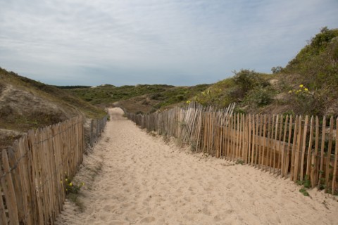 Quend (Baie de Somme, France), site de Belle Dune