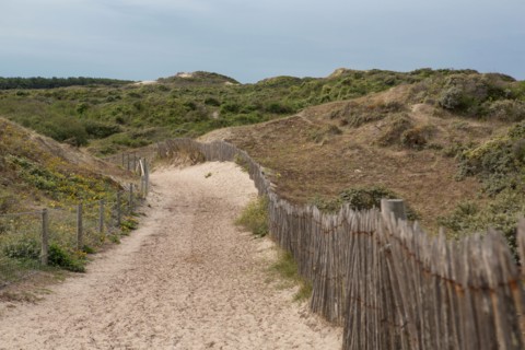 Quend (Baie de Somme, France), site de Belle Dune