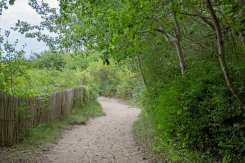 Quend (Baie de Somme, France), site de Belle Dune