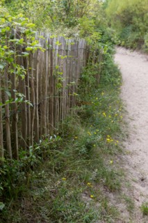 Quend (Baie de Somme, France), site de Belle Dune