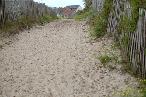 Quend (Baie de Somme, France), site de Belle Dune