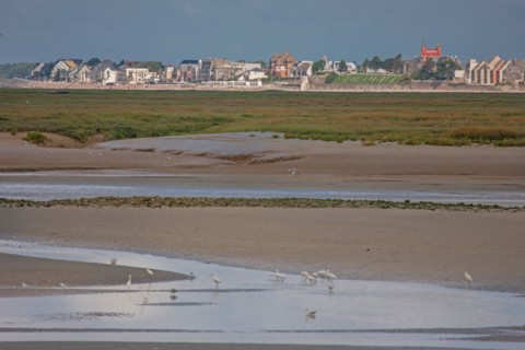 Saint-Valery-sur-Somme (Baie de Somme, France)