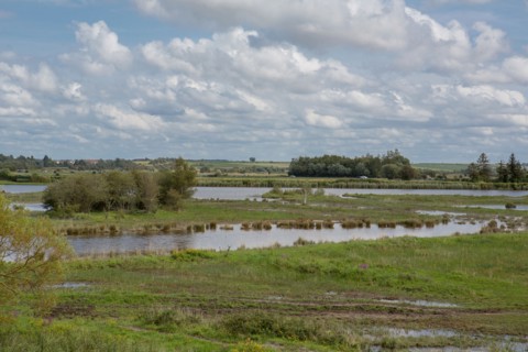 Le Crotoy (Baie de Somme, France)