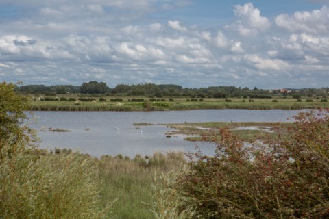 Le Crotoy (Baie de Somme, France)