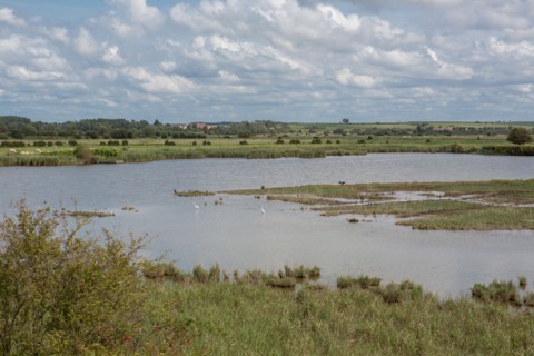 Le Crotoy (Baie de Somme, France)
