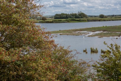 Le Crotoy (Baie de Somme, France)