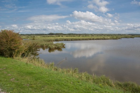 Le Crotoy (Baie de Somme, France)