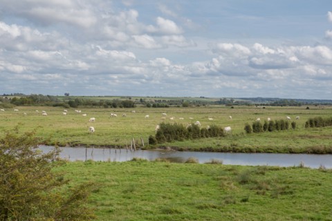 Le Crotoy (Baie de Somme, France)