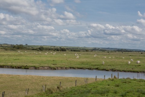 Le Crotoy (Baie de Somme, France)