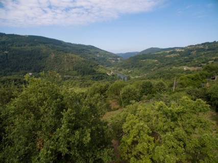 Panorama sur le Parc des Grands Causses