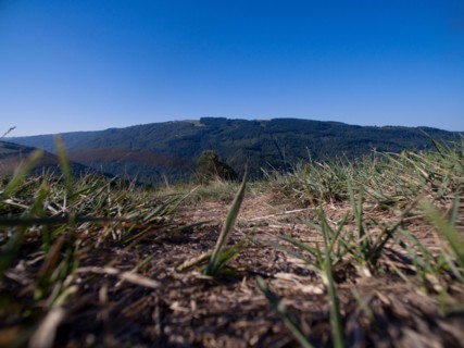 Panorama over the Regional nature park of Grands Causses