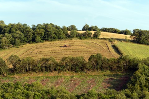 Regional nature park of Grands Causses