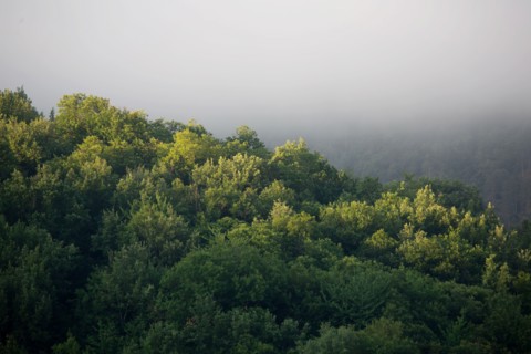 Morning haze over the Gorges du Tarn