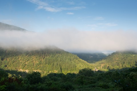 Morning haze over the Gorges du Tarn