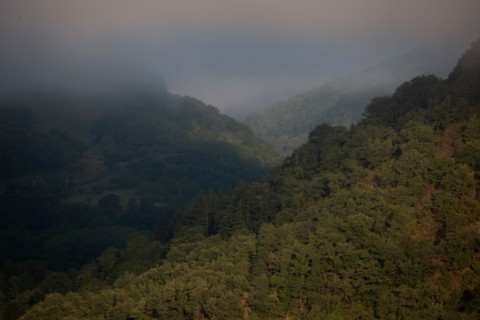 Morning haze over the Gorges du Tarn