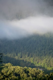 Morning haze over the Gorges du Tarn