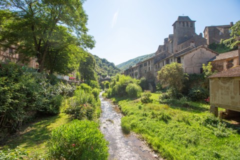 Regional nature park of Grands Causses