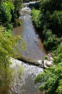 Regional nature park of Grands Causses