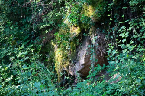 Regional nature park of Grands Causses