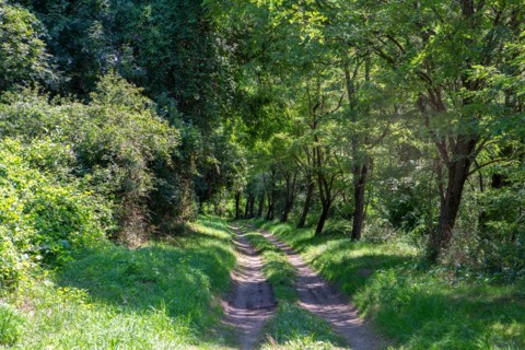 Regional nature park of Grands Causses, towpath