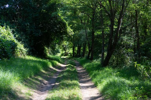 Regional nature park of Grands Causses, towpath