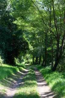 Regional nature park of Grands Causses, towpath