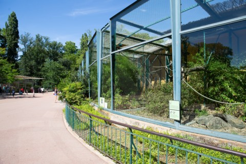 Lyon, Parc de la Tête d'Or