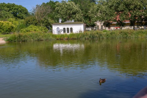 Lyon, Parc de la Tête d'Or