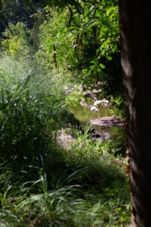 Lyon, Parc de la Tête d'Or