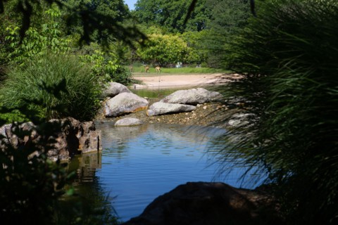 Lyon, Parc de la Tête d'Or
