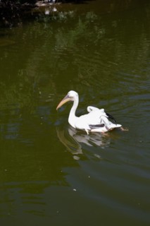 Lyon, Parc de la Tête d'Or